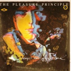 Пластинка Pleasure Principle Trip to my soul